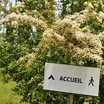 Le Domaine Des Cazelles By Ateya Village de vacances